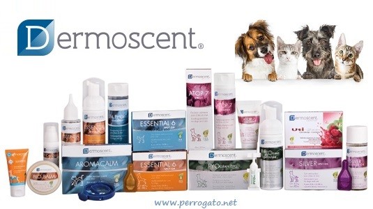Dermoscent Cuidado de la piel de Perros y Gatos